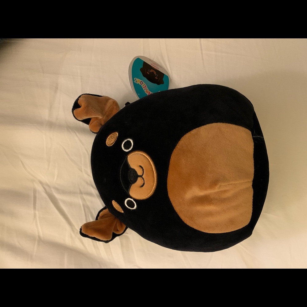 Mateo the dog Squishmallow